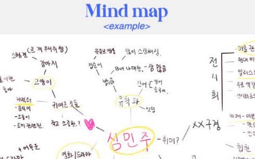 그래픽 아트웍 프로그램1