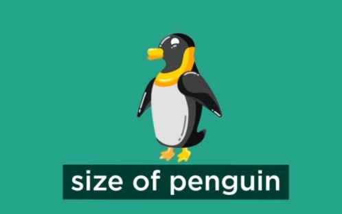 Geometric 응용 및 개발