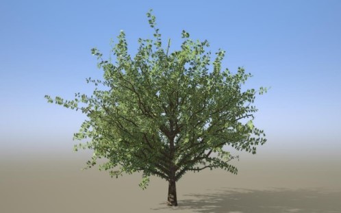 기초 및 응용 모델링 Ⅰ