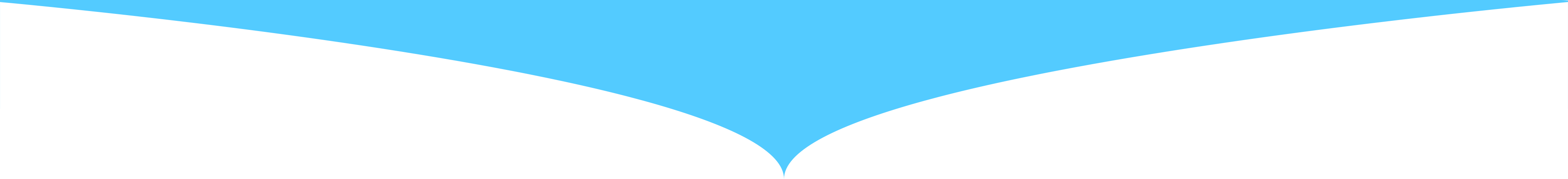 배경효과